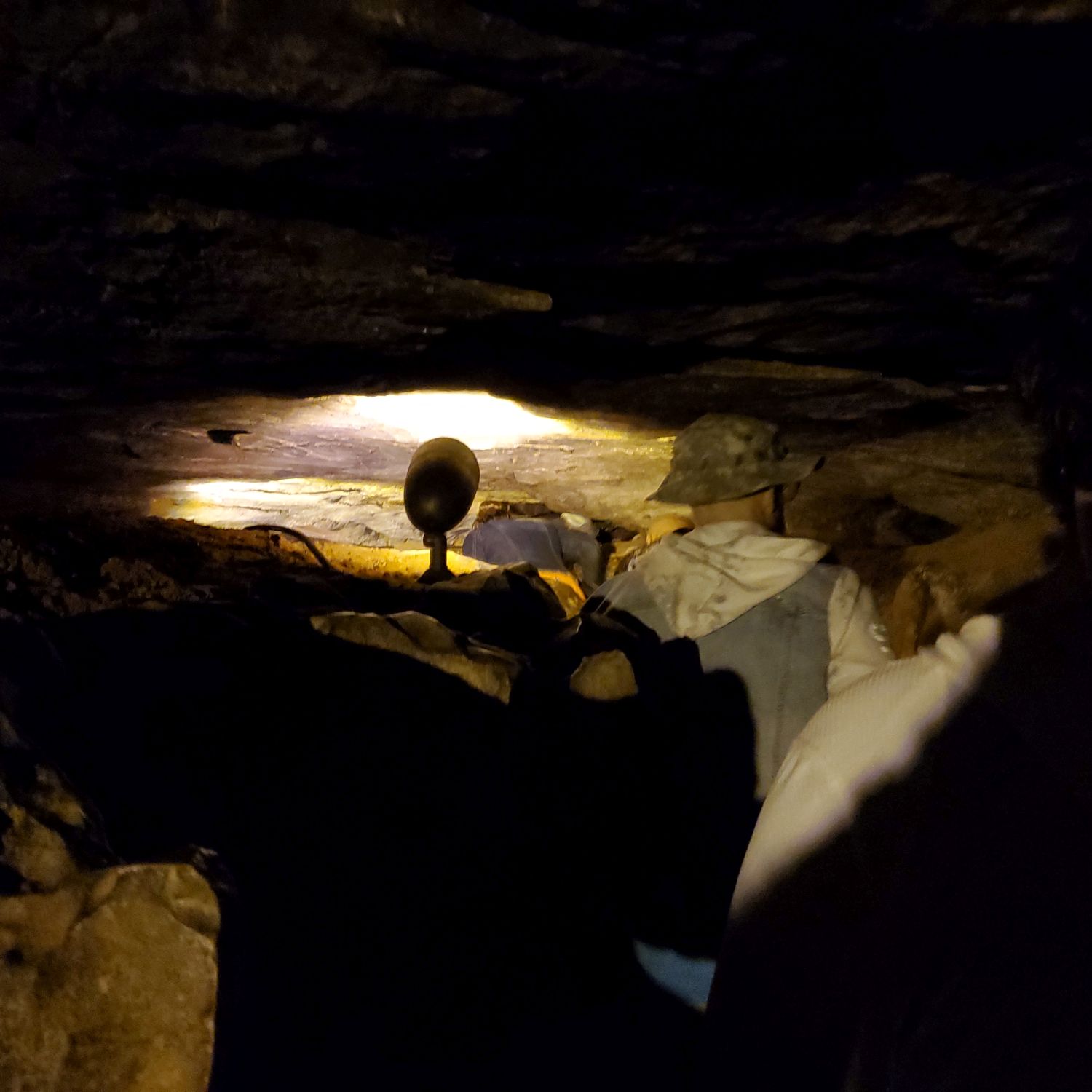 Mammouth Cave Historic Tour 